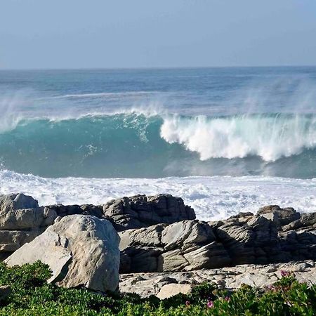 Villa Whales & Waves Hermanus Exterior foto