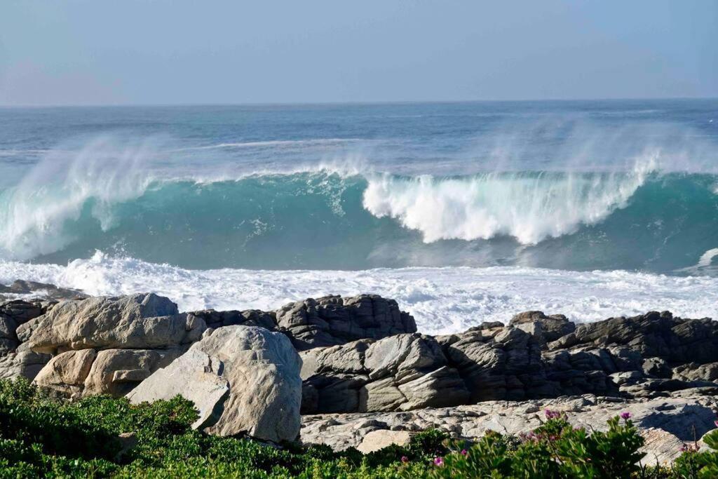 Villa Whales & Waves Hermanus Exterior foto